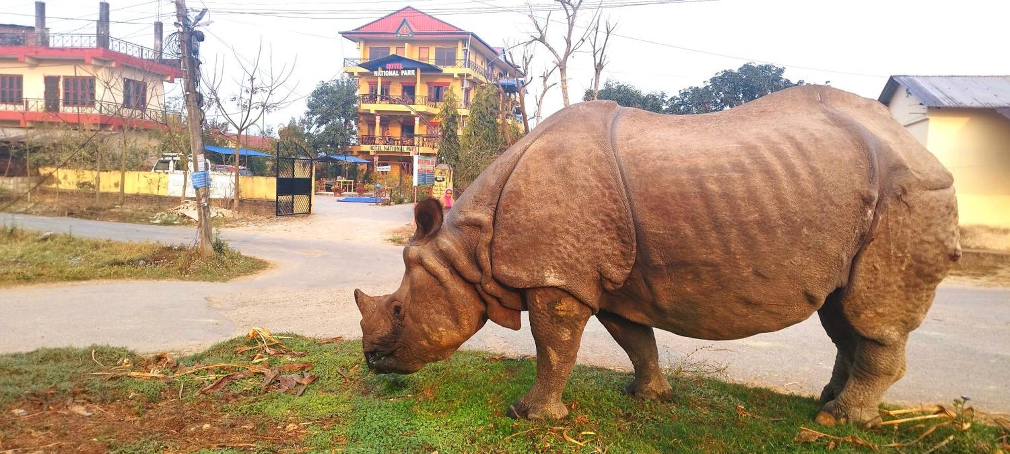 Hotel National Park Sauraha- Homely Stay And Peaceful Location With Jungle Safari Arrangements Exterior photo